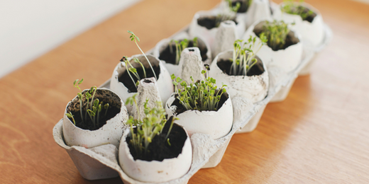 Sustainable Gardening Hack Guide