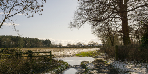 Tips for Enjoying the UK's Winter Outdoors