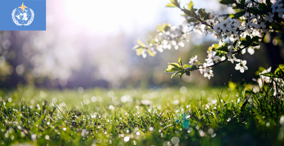 Observing Today, Protecting Tomorrow