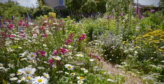 Seasonal Shifts: Spring in the UK