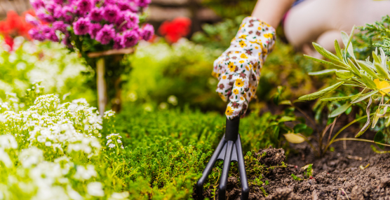 Spring Gardening: How to Revive Your Outdoor Space