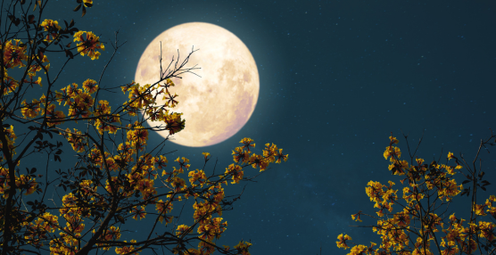 Moon Phases: What They Mean & How to Track Them