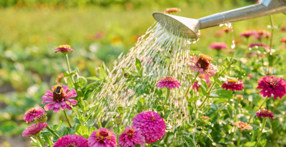 Eco-Friendly Habits with Your Weather Essentials