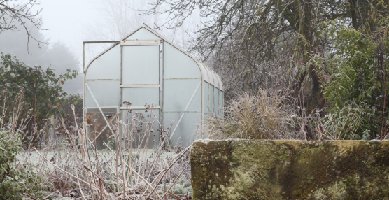 5 Quick Garden Jobs You Can Do This Winter