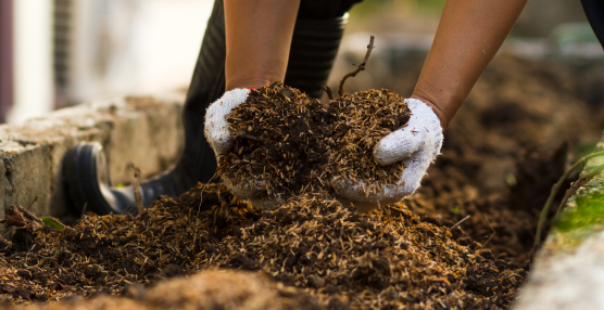 Composting for Gardens: A Guide to Healthier Soil
