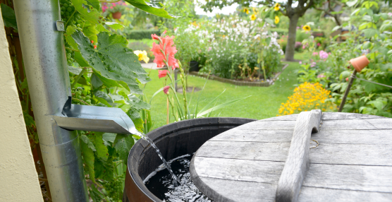 How to Reduce Water Wastage in the Garden During a Heatwave