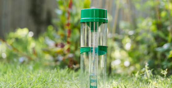 The Complete Gardener’s Guide to Rain Gauges