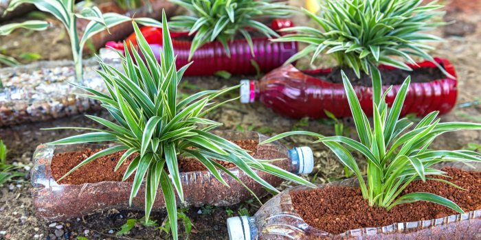 Living plastic-free, take on the challenge this July
