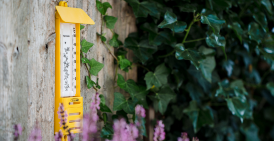 How to Select the Perfect Weather Instruments