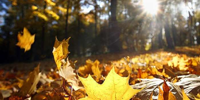 How To Be A Weather Watcher: Our Top Tips