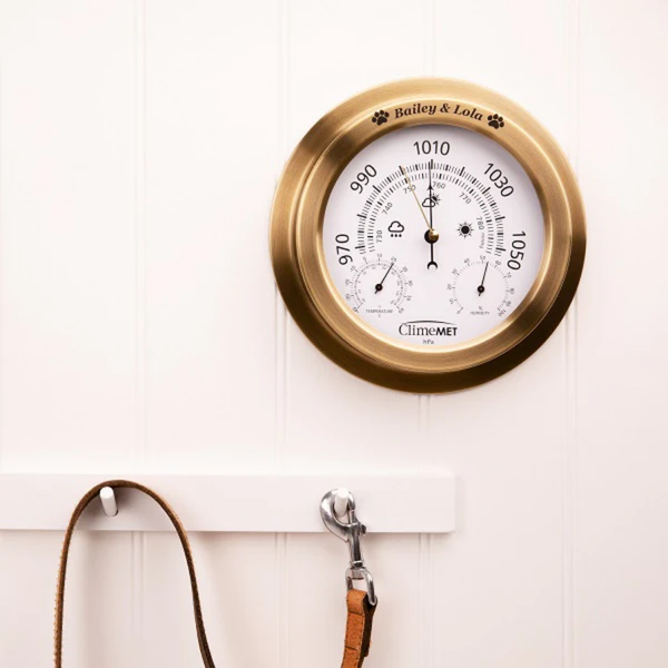 Dog Walker's Weather Dial