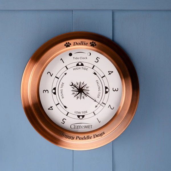 Dog Walker's Weather Dial