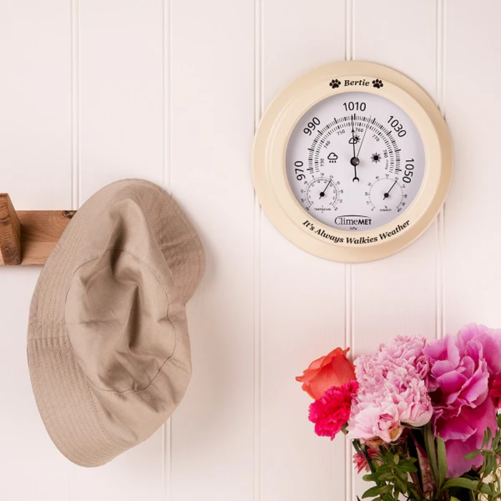 Dog Walker's Weather Dial