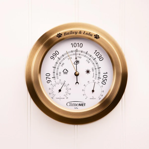 Dog Walker's Weather Dial