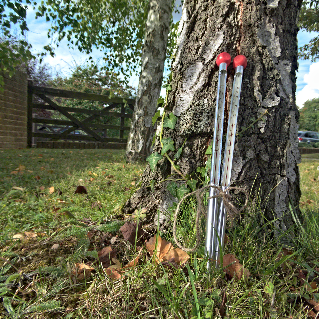 Sun and Shade Soil Thermometer Bundle Main image