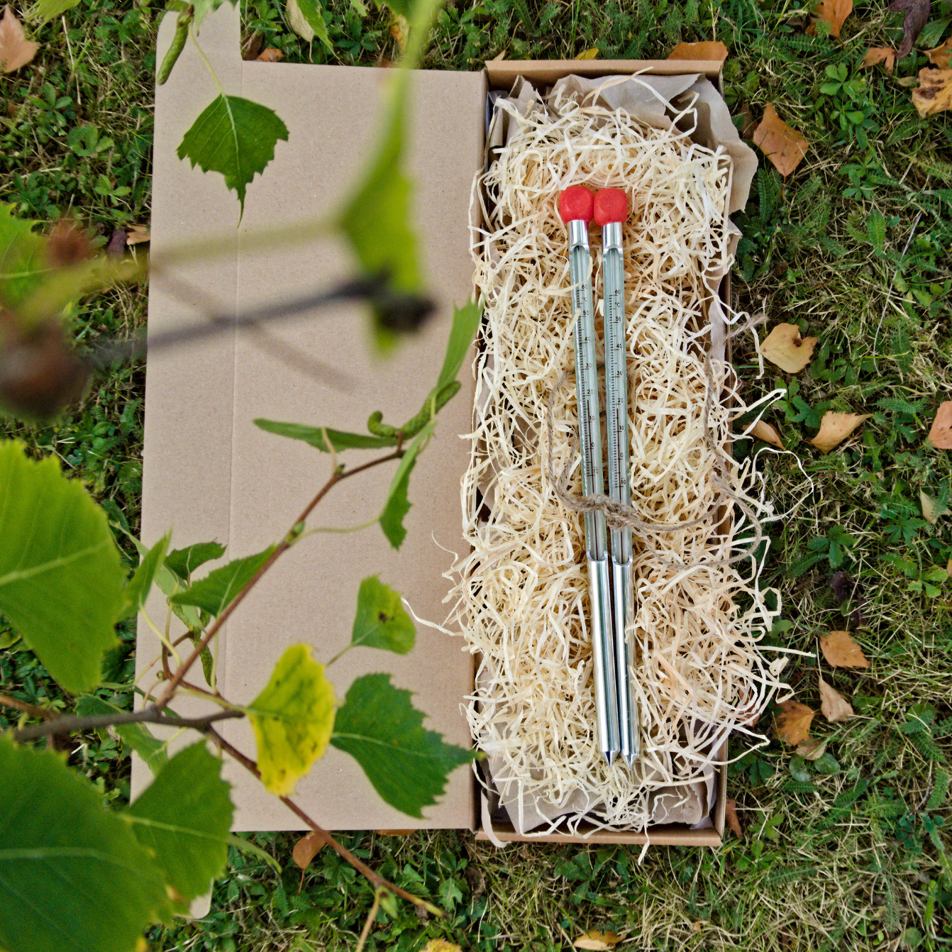Sun and Shade Soil Thermometer Bundle Secondary image