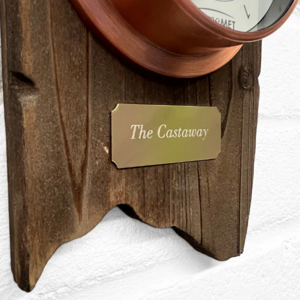 The Castaway