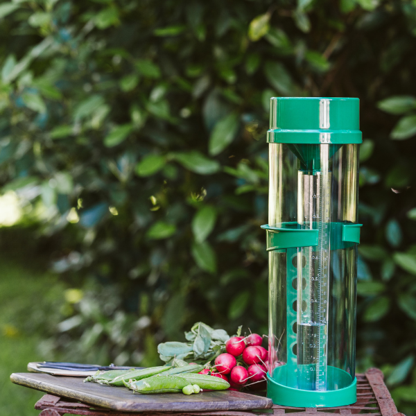 Professional Manual Rain Gauge CM1016 - ClimeMET